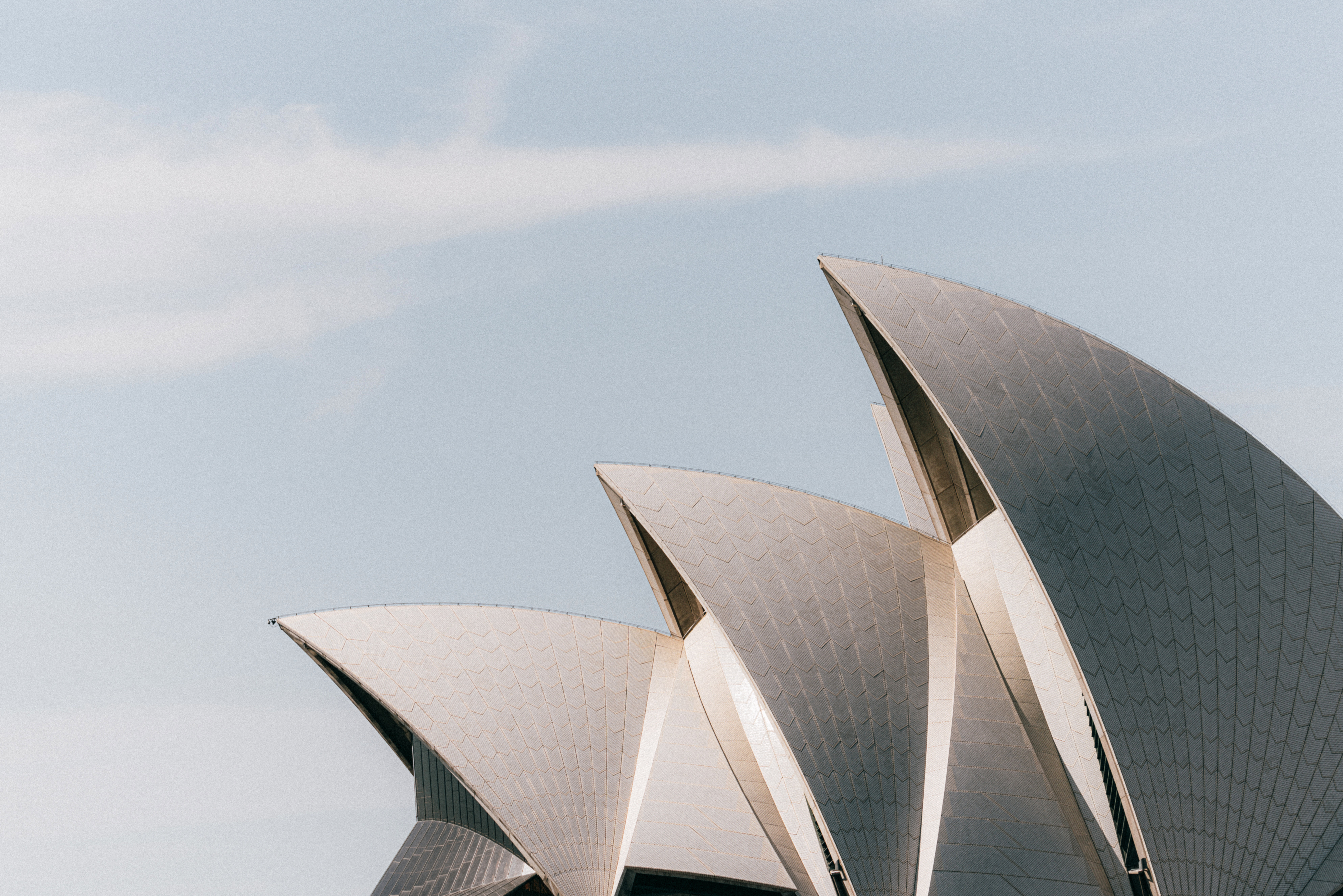 Carter Murray in Australien: Globales Marketing und Sales Recruitment